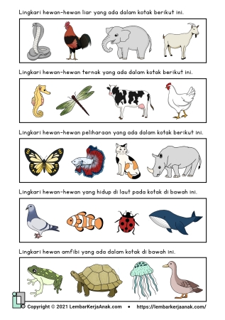 Kognitif lembar kerja anak tk paud tema binatang hewan