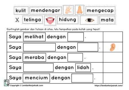 Tema Diri Sendiri | Panca Indra & Anggota Tubuh | Lembar Kerja TK/PAUD