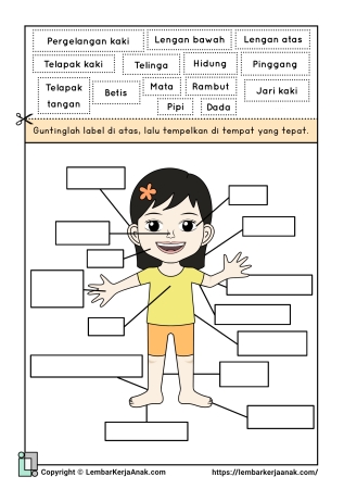 Tema Diri Sendiri | Panca Indra & Anggota Tubuh | Lembar Kerja TK/PAUD