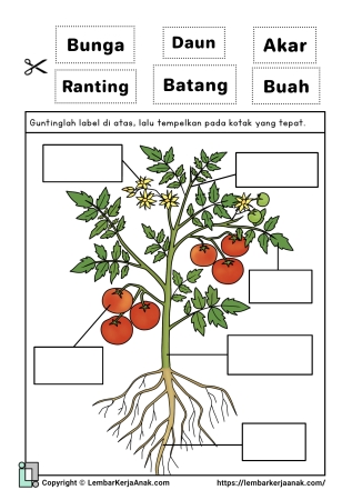 Tema Tanaman | Bagian, Siklus, dll | Lembar Kerja Anak TK - PAUD