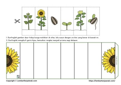 Tema Tanaman | Bagian, Siklus, dll | Lembar Kerja Anak TK - PAUD