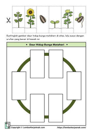 Tema Tanaman | Bagian, Siklus, dll | Lembar Kerja Anak TK - PAUD
